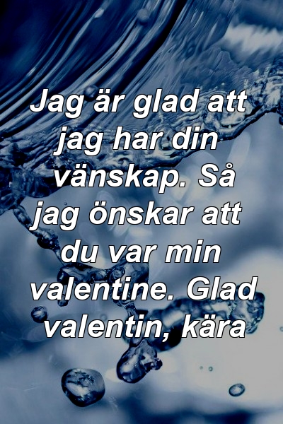 Jag är glad att jag har din vänskap. Så jag önskar att du var min valentine. Glad valentin, kära