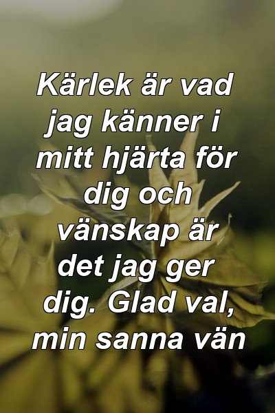 Kärlek är vad jag känner i mitt hjärta för dig och vänskap är det jag ger dig. Glad val, min sanna vän