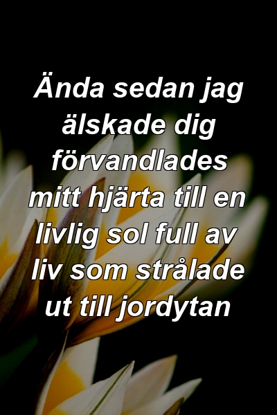 Ända sedan jag älskade dig förvandlades mitt hjärta till en livlig sol full av liv som strålade ut till jordytan