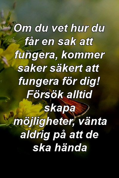 Om du vet hur du får en sak att fungera, kommer saker säkert att fungera för dig! Försök alltid skapa möjligheter, vänta aldrig på att de ska hända