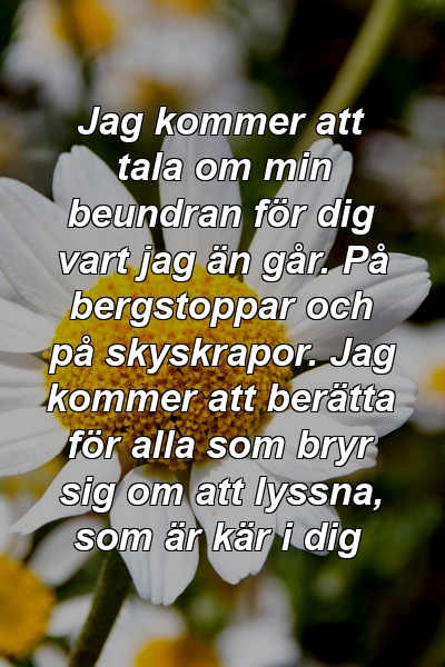 Jag kommer att tala om min beundran för dig vart jag än går. På bergstoppar och på skyskrapor. Jag kommer att berätta för alla som bryr sig om att lyssna, som är kär i dig