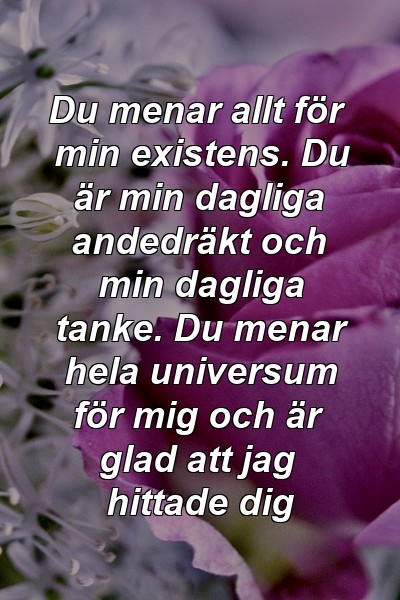 Du menar allt för min existens. Du är min dagliga andedräkt och min dagliga tanke. Du menar hela universum för mig och är glad att jag hittade dig