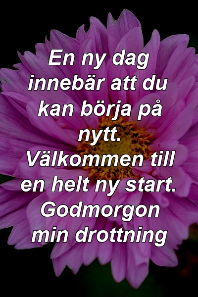 En ny dag innebär att du kan börja på nytt. Välkommen till en helt ny start. Godmorgon min drottning