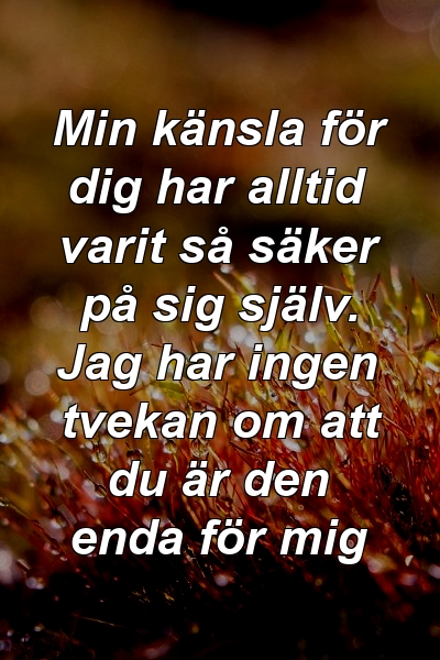 Min känsla för dig har alltid varit så säker på sig själv. Jag har ingen tvekan om att du är den enda för mig