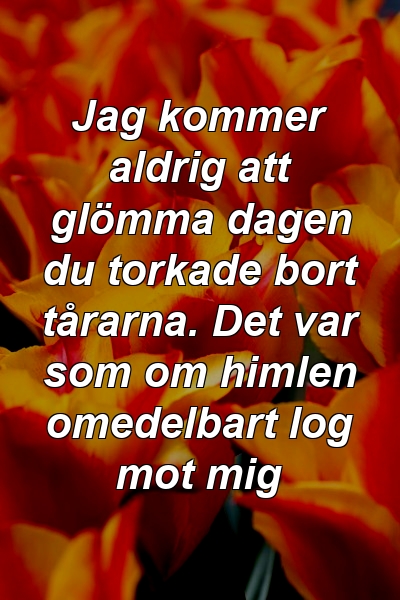 Jag kommer aldrig att glömma dagen du torkade bort tårarna. Det var som om himlen omedelbart log mot mig