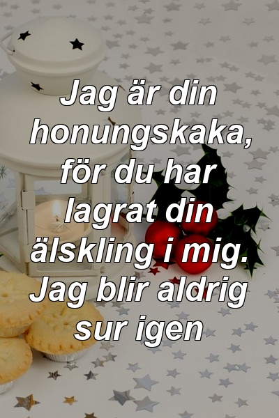 Jag är din honungskaka, för du har lagrat din älskling i mig. Jag blir aldrig sur igen