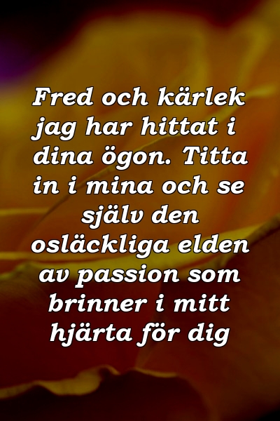 Fred och kärlek jag har hittat i dina ögon. Titta in i mina och se själv den osläckliga elden av passion som brinner i mitt hjärta för dig