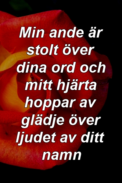 Min ande är stolt över dina ord och mitt hjärta hoppar av glädje över ljudet av ditt namn