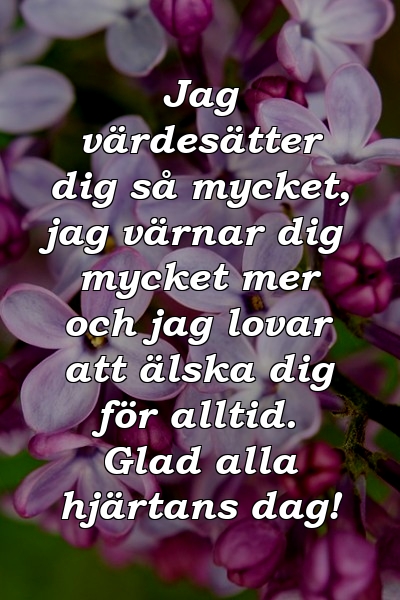 Jag värdesätter dig så mycket, jag värnar dig mycket mer och jag lovar att älska dig för alltid. Glad alla hjärtans dag!