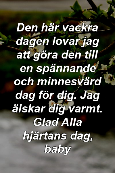 Den här vackra dagen lovar jag att göra den till en spännande och minnesvärd dag för dig. Jag älskar dig varmt. Glad Alla hjärtans dag, baby