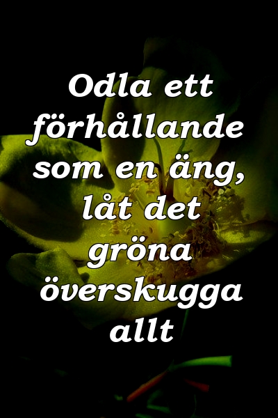 Odla ett förhållande som en äng, låt det gröna överskugga allt