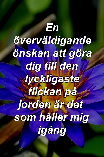 En överväldigande önskan att göra dig till den lyckligaste flickan på jorden är det som håller mig igång