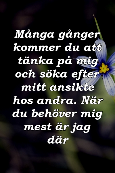 Många gånger kommer du att tänka på mig och söka efter mitt ansikte hos andra. När du behöver mig mest är jag där