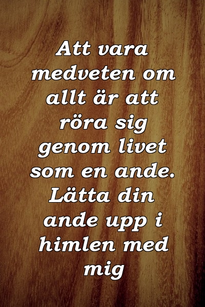 Att vara medveten om allt är att röra sig genom livet som en ande. Lätta din ande upp i himlen med mig