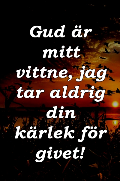 Gud är mitt vittne, jag tar aldrig din kärlek för givet!