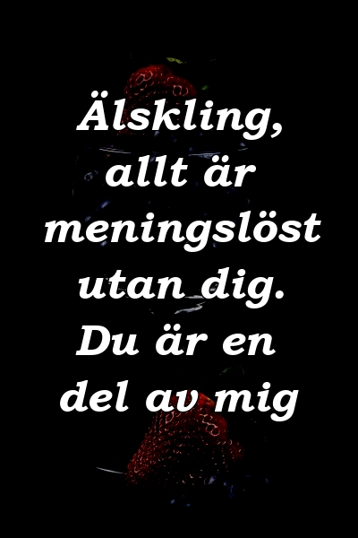 Älskling, allt är meningslöst utan dig. Du är en del av mig