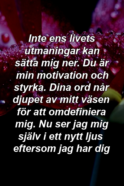 Inte ens livets utmaningar kan sätta mig ner. Du är min motivation och styrka. Dina ord når djupet av mitt väsen för att omdefiniera mig. Nu ser jag mig själv i ett nytt ljus eftersom jag har dig