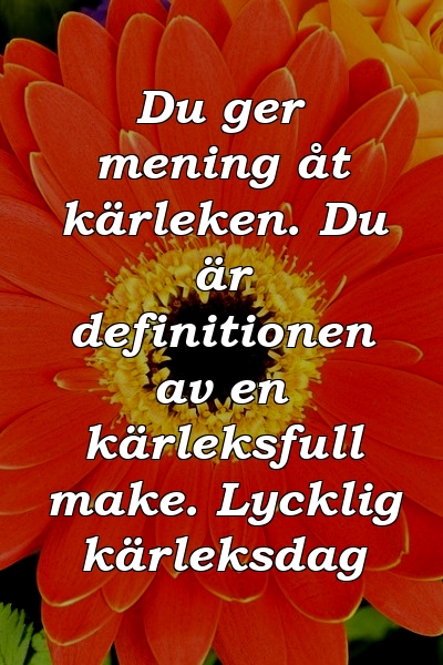 Du ger mening åt kärleken. Du är definitionen av en kärleksfull make. Lycklig kärleksdag