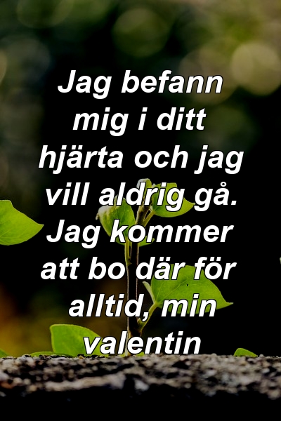 Jag befann mig i ditt hjärta och jag vill aldrig gå. Jag kommer att bo där för alltid, min valentin