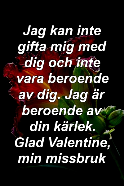 Jag kan inte gifta mig med dig och inte vara beroende av dig. Jag är beroende av din kärlek. Glad Valentine, min missbruk