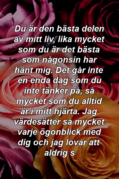 Du är den bästa delen av mitt liv, lika mycket som du är det bästa som någonsin har hänt mig. Det går inte en enda dag som du inte tänker på, så mycket som du alltid är i mitt hjärta. Jag värdesätter så mycket varje ögonblick med dig och jag lovar att aldrig s