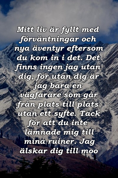 Mitt liv är fyllt med förväntningar och nya äventyr eftersom du kom in i det. Det finns ingen jag utan dig, för utan dig är jag bara en vägfarare som går från plats till plats utan ett syfte. Tack för att du inte lämnade mig till mina ruiner. Jag älskar dig till moo