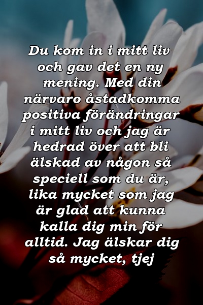 Du kom in i mitt liv och gav det en ny mening. Med din närvaro åstadkomma positiva förändringar i mitt liv och jag är hedrad över att bli älskad av någon så speciell som du är, lika mycket som jag är glad att kunna kalla dig min för alltid. Jag älskar dig så mycket, tjej