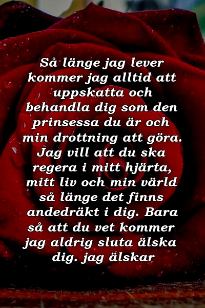 Så länge jag lever kommer jag alltid att uppskatta och behandla dig som den prinsessa du är och min drottning att göra. Jag vill att du ska regera i mitt hjärta, mitt liv och min värld så länge det finns andedräkt i dig. Bara så att du vet kommer jag aldrig sluta älska dig. jag älskar