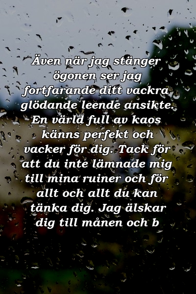 Även när jag stänger ögonen ser jag fortfarande ditt vackra glödande leende ansikte. En värld full av kaos känns perfekt och vacker för dig. Tack för att du inte lämnade mig till mina ruiner och för allt och allt du kan tänka dig. Jag älskar dig till månen och b