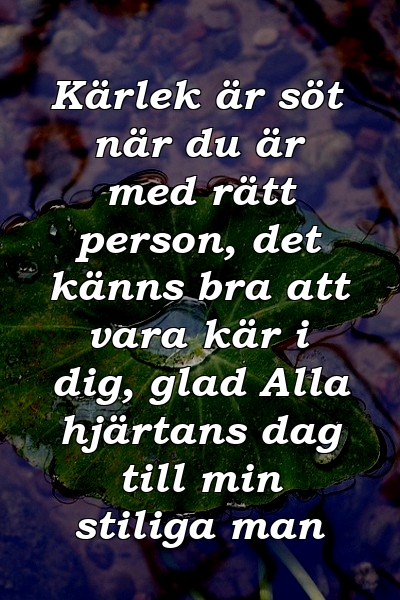 Kärlek är söt när du är med rätt person, det känns bra att vara kär i dig, glad Alla hjärtans dag till min stiliga man