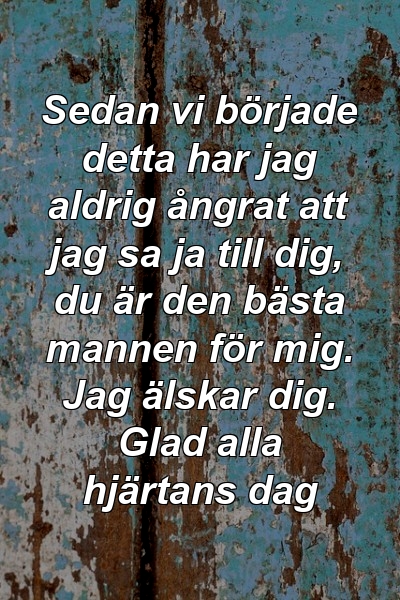 Sedan vi började detta har jag aldrig ångrat att jag sa ja till dig, du är den bästa mannen för mig. Jag älskar dig. Glad alla hjärtans dag