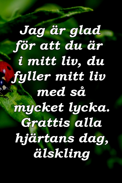 Jag är glad för att du är i mitt liv, du fyller mitt liv med så mycket lycka. Grattis alla hjärtans dag, älskling