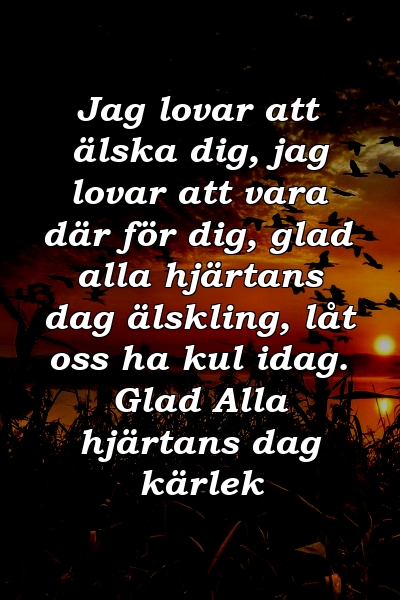 Jag lovar att älska dig, jag lovar att vara där för dig, glad alla hjärtans dag älskling, låt oss ha kul idag. Glad Alla hjärtans dag kärlek