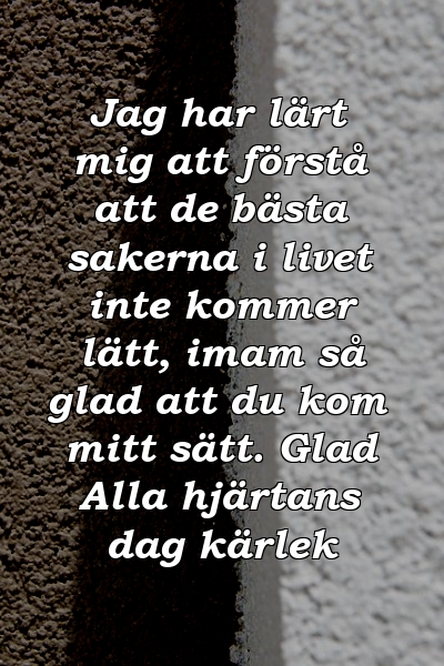 Jag har lärt mig att förstå att de bästa sakerna i livet inte kommer lätt, imam så glad att du kom mitt sätt. Glad Alla hjärtans dag kärlek