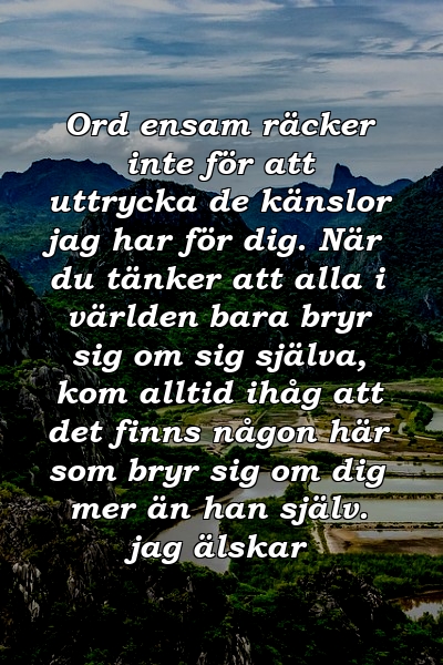 Ord ensam räcker inte för att uttrycka de känslor jag har för dig. När du tänker att alla i världen bara bryr sig om sig själva, kom alltid ihåg att det finns någon här som bryr sig om dig mer än han själv. jag älskar