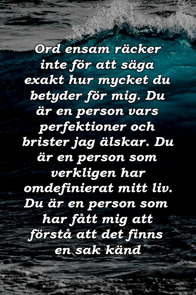 Ord ensam räcker inte för att säga exakt hur mycket du betyder för mig. Du är en person vars perfektioner och brister jag älskar. Du är en person som verkligen har omdefinierat mitt liv. Du är en person som har fått mig att förstå att det finns en sak känd