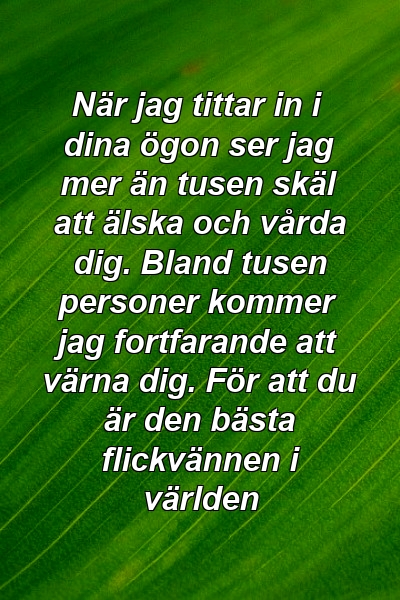 När jag tittar in i dina ögon ser jag mer än tusen skäl att älska och vårda dig. Bland tusen personer kommer jag fortfarande att värna dig. För att du är den bästa flickvännen i världen