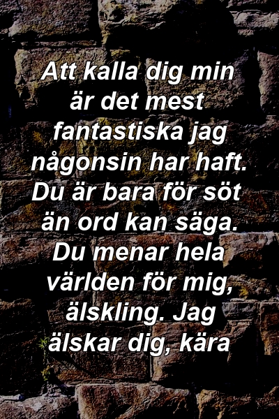 Att kalla dig min är det mest fantastiska jag någonsin har haft. Du är bara för söt än ord kan säga. Du menar hela världen för mig, älskling. Jag älskar dig, kära