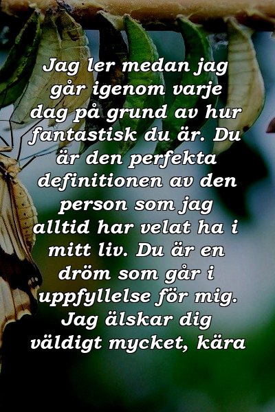 Jag ler medan jag går igenom varje dag på grund av hur fantastisk du är. Du är den perfekta definitionen av den person som jag alltid har velat ha i mitt liv. Du är en dröm som går i uppfyllelse för mig. Jag älskar dig väldigt mycket, kära