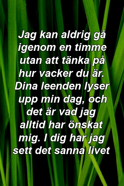 Jag kan aldrig gå igenom en timme utan att tänka på hur vacker du är. Dina leenden lyser upp min dag, och det är vad jag alltid har önskat mig. I dig har jag sett det sanna livet