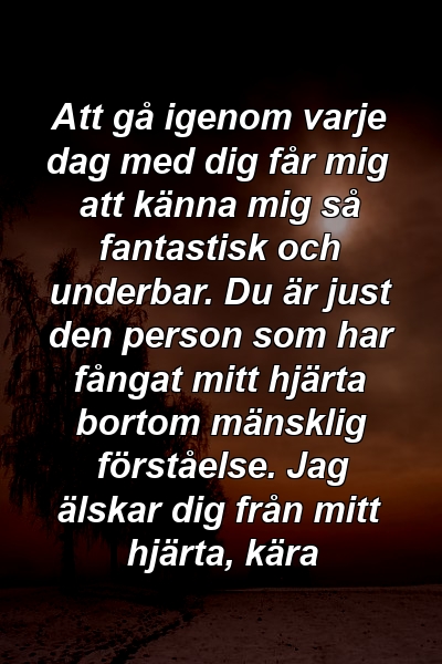 Att gå igenom varje dag med dig får mig att känna mig så fantastisk och underbar. Du är just den person som har fångat mitt hjärta bortom mänsklig förståelse. Jag älskar dig från mitt hjärta, kära