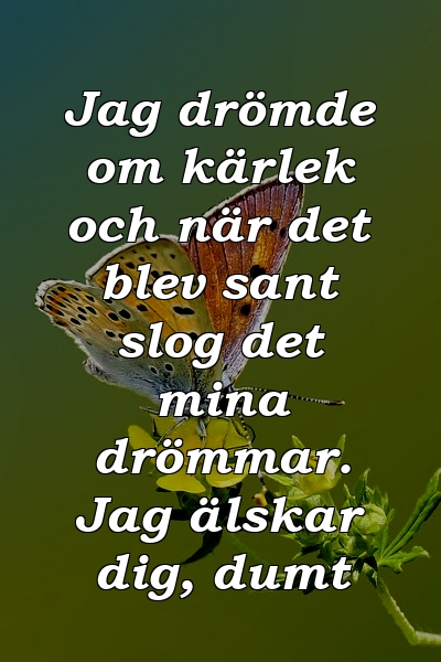 Jag drömde om kärlek och när det blev sant slog det mina drömmar. Jag älskar dig, dumt