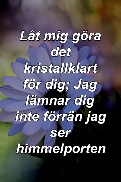 Låt mig göra det kristallklart för dig; Jag lämnar dig inte förrän jag ser himmelporten