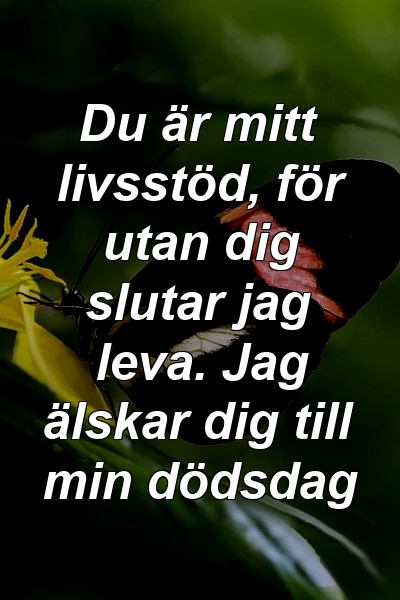 Du är mitt livsstöd, för utan dig slutar jag leva. Jag älskar dig till min dödsdag