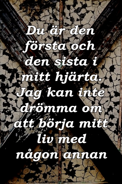 Du är den första och den sista i mitt hjärta. Jag kan inte drömma om att börja mitt liv med någon annan