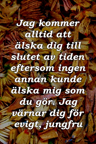 Jag kommer alltid att älska dig till slutet av tiden eftersom ingen annan kunde älska mig som du gör. Jag värnar dig för evigt, jungfru