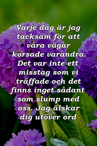 Varje dag är jag tacksam för att våra vägar korsade varandra. Det var inte ett misstag som vi träffade och det finns inget sådant som slump med oss. Jag älskar dig utöver ord