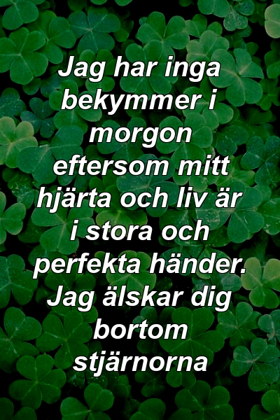 Jag har inga bekymmer i morgon eftersom mitt hjärta och liv är i stora och perfekta händer. Jag älskar dig bortom stjärnorna