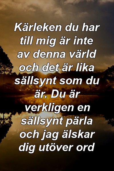 Kärleken du har till mig är inte av denna värld och det är lika sällsynt som du är. Du är verkligen en sällsynt pärla och jag älskar dig utöver ord