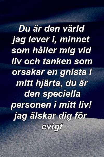 Du är den värld jag lever i, minnet som håller mig vid liv och tanken som orsakar en gnista i mitt hjärta, du är den speciella personen i mitt liv! jag älskar dig för evigt